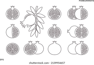 Pomegranate outline, Line. Isolated pomegranate on white background