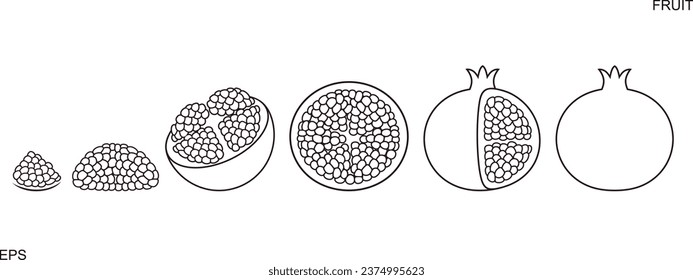 Pomegranate outline, Line. Isolated pomegranate on white background