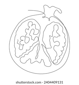 Pomegranate outline vector illustration. Pomegranate isolated on white background.
