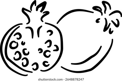 Pomegranate pair sketch for exotic fruit packaging health branding natural product labelsVector illustration