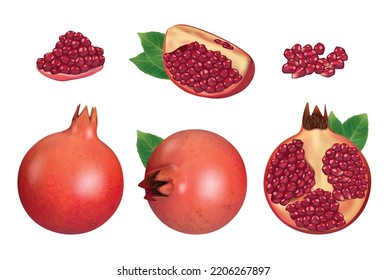 Pomegranate. Pieces of red fruits natural healthy products decent vector realistic botanical illustrations set isolated