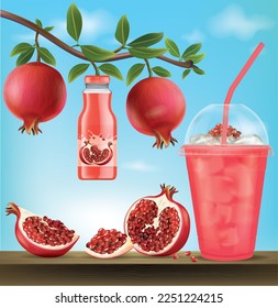 Pomegranate in a plastic glass with a branch of a pomegranate with a pomegranate and a bottle of pomegranate.