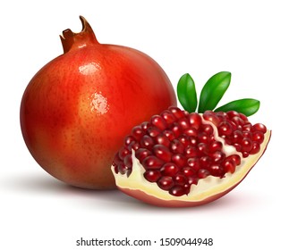 Pomegranate with a quarter of a fruit with burgundy seeds. Realistic illustration for advertising juice, cosmetics, spa. For design of products and cosmetics. Isolated on a white background. Vector