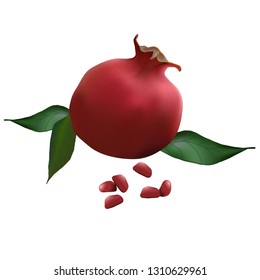 pomegranate realistic with leaves vector illustration