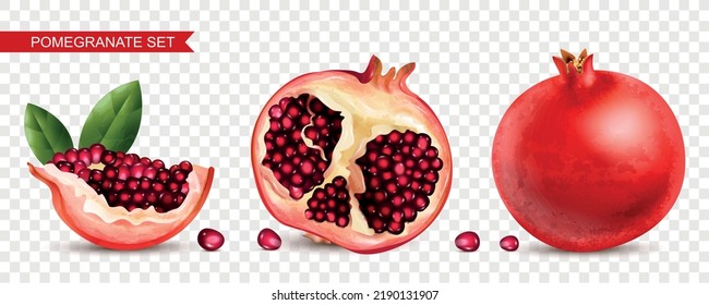 Pomegrano conjunto transparente realista con símbolos de fruto saludable ilustración vectorial aislada