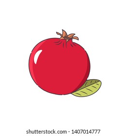 Pomegranate. Red fruit. Vector flat style