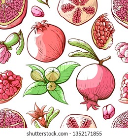 Pomegranate seamless pattern, fruit and nature ornament. Garden decoration textile. Vector illustration on white background