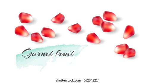  pomegranate seed