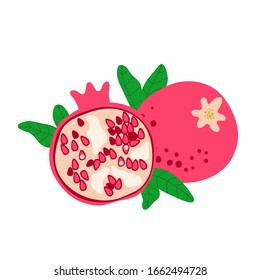 Pomegranate with seeds. Fruit drawing with green leaves isolated on white. Great as logo or label for juice, soap and organic product. Flat cartoon vector illustration.