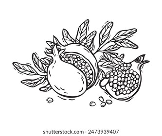 Pomegranate with seeds and leaves. Botanical vector black and white illustration, hand drawn on isolated background in linocut style. Drawing for design of packaging, menus, recipes, cards, textiles