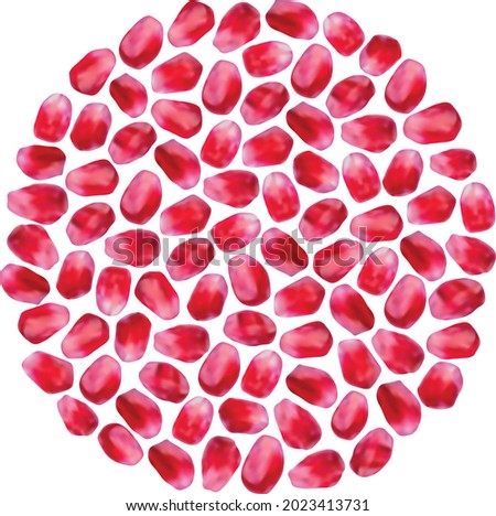 Pomegranate seeds in the shape of circle. Rosh Hashanah. Round shaped pomegranate seeds, sweet red fruit grains. Shana Tova - Jewish New Year. Red circle made from pomegranate seeds, gradient mesh. Imagine de stoc © 