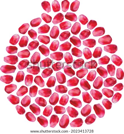 Pomegranate seeds in the shape of pomegranate. Rosh Hashanah. Shaped pomegranate seeds, sweet red fruit grains. Shana Tova - Jewish New Year. Shape made from pomegranate seeds, gradient mesh  Imagine de stoc © 