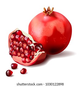 A pomegranate with seeds vector illustration