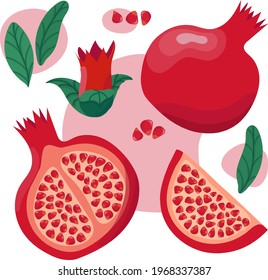 Pomegranate set. Colorfull red pomegranate whith seeds and leaves on the white background whith light red spots. Hand drawn vector illustration. 