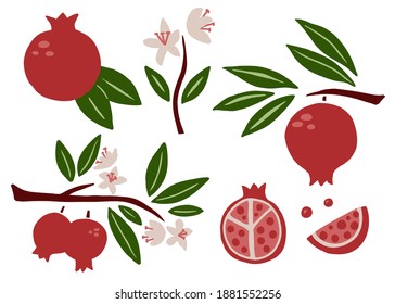 Pomegranate set. Exotic tropical red fresh fruit, whole juicy pomegranates with green leaves and flowers, slice and seeds, vector cartoon minimalistic style isolated illustration