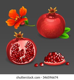 Pomegranate set with flower