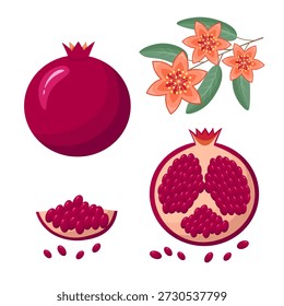 pomegranate set, flowers, seed. Vector Illustration for printing, backgrounds, covers and packaging. Image can be used for greeting cards, posters, stickers and textile. Isolated on white background.