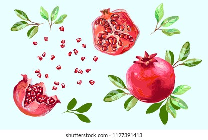 Pomegranate set with leaves , half pomegranate and seeds splash food design. Isolated pomegranate elements on light background vector illustration