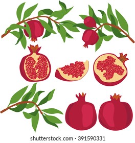 Pomegranate. Set of pomegranates.