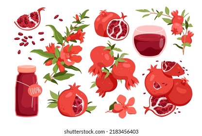 Pomegranate set vector illustration. Cartoon isolated tropical plant, branch with leaf, flowers and whole fresh fruit, cut in half and slices, healthy vitamin garnet juice in glass for natural diet