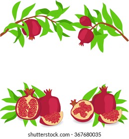 Pomegranate. Set. Vector illustration on a transparent background