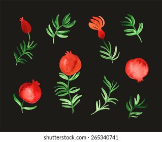 Pomegranate set (watercolor sketches, vector)