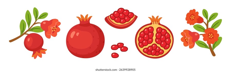 Pomegranate set, whole and half fruits with seeds, branches, green leaves, pomegranate flowers. flat style, isolated icons. For digital and print projects, packaging, greeting cards, botanical posters