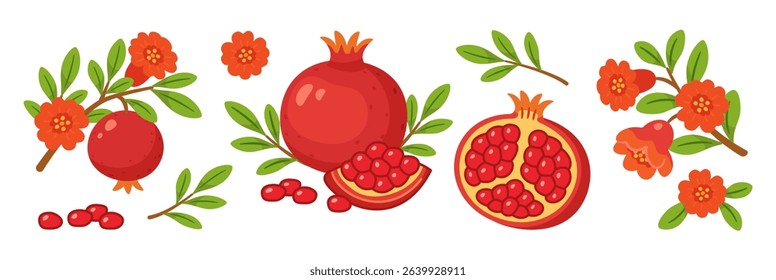 Pomegranate set, whole and half fruits with seeds, branches, green leaves, pomegranate flowers. flat style, isolated icons. For digital and print projects, packaging, greeting cards, botanical posters