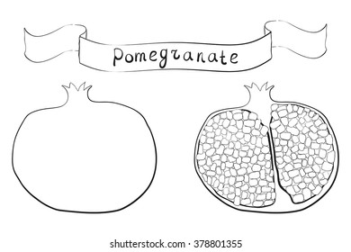Pomegranate. Sketch. Vector illustration isolated on white background.