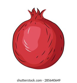 Pomegranate Sketchy Colored Vector Icon