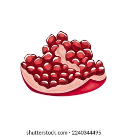 pomegranate slice cartoon. fruit red, ripe half, fresh juicy, food seed, healthy sweet, cut organic, piece dessert pomegranate slice vector illustration