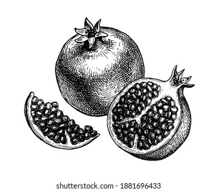 Pomegranate sliced in half and seeds. Ink sketch isolated on white background. Hand drawn vector illustration. Retro style. Editable objects.