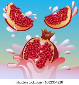 pomegranate splash vector