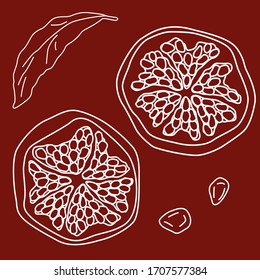 Pomegranate sticker set on red backdrop. White line fruit pieces for gift card, healthy food shop logo, bath tile, apparel, juice pack. Phone case or cloth print. Drawn style stock vector illustration