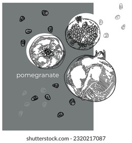 Pomegranate. Stylized linear berry on a white background.