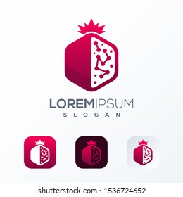 pomegranate tech logo design ready to use