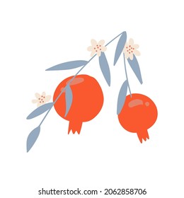 Pomegranate tree branch. Fruit with flowers and leaves in isolated flat vector illustration.