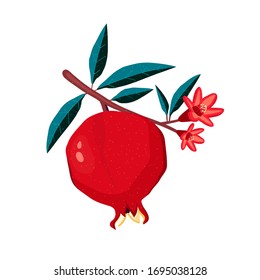 Pomegranate Tree Branch. Fruit In Vector Illustration Flat Style