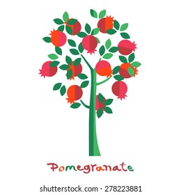 Pomegranate tree. Pomegranate fruits. Vector illustration. 