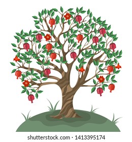 Pomegranate tree  isolated on White background. Vector illustration 