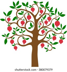 Pomegranate tree  isolated on White background. Vector illustration 