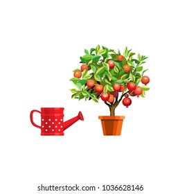 Pomegranate tree in the pot on the background and a red watering can. Isolated icon. Vector illustration.