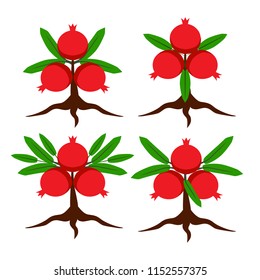 pomegranate tree symbol. silhouette.

color logo. 