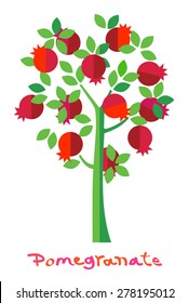 Pomegranate tree. Vector illustration. 