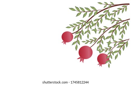 Pomegranate tree, Pomegranate vector, Rosh Hashanah 