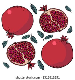 Pomegranate Tropical Fruit. Isolated objects on white background, vector, hand drawing.