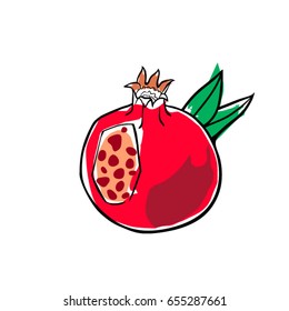 pomegranate vector