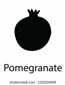 pomegranate vector design