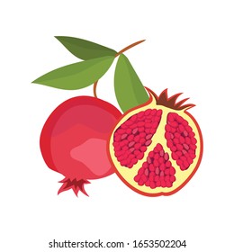 Diseño vectorial granado, ilustración vectorial de granos de frutas