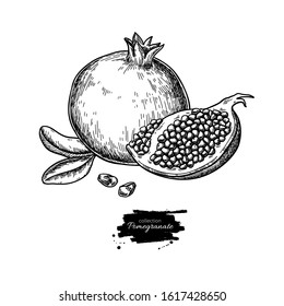 Pomegranate vector drawing. Hand drawn tropical fruit illustration. Engraved summer fruit. Whole and sliced objects with leaves and seeds. Botanical vintage sketch for label, juice packaging design